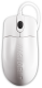 Seal Shield Silver Storm STWM042 Maus weiß (USB, IP68)